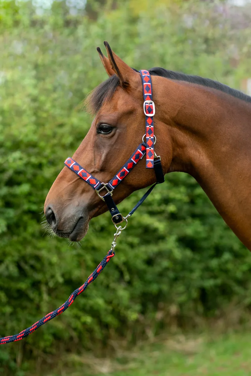 Hy Equestrian Woven Polo Head Collar And Lead Rope - Navy/Red-3